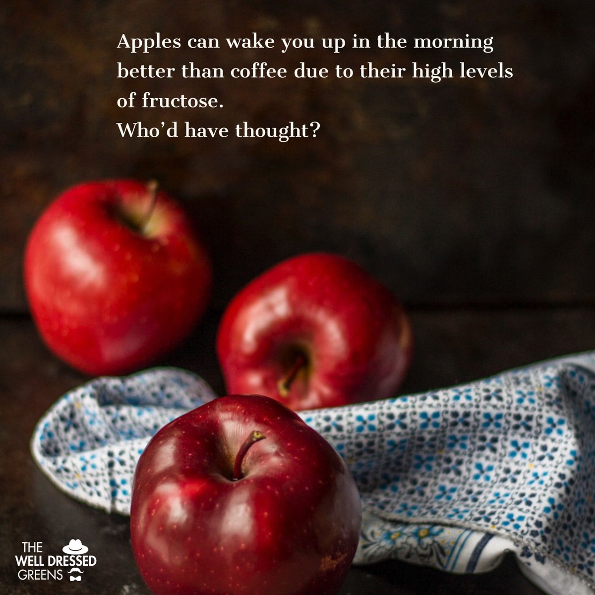 twdgreens's tweet photo. Who'd have thought? 
An apple a day keeps the doctor away! 
#twdgreens #twdgreensblr #thewelldressedgreens #apple #äpple #healthyeating #healthytips #healthysmoothie #healthylifestyle #healthy #healthyfood #healthysalad #healthyliving https://t.co/7YoKl52pPd