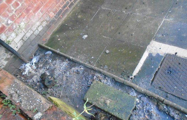 Clean_Leeds's tweet photo. A property behind #RoundhayRoad had a burst #SoilPipe, leaking #Waste into the garden of a neighbouring property. This caused a pool of #ContaminatedSoil. Successful #EnforcementAction ensured the pipe was repaired and the damage remedied. #BeAware #PublicHealth #CheckYourPipes https://t.co/5FGwo81dtM