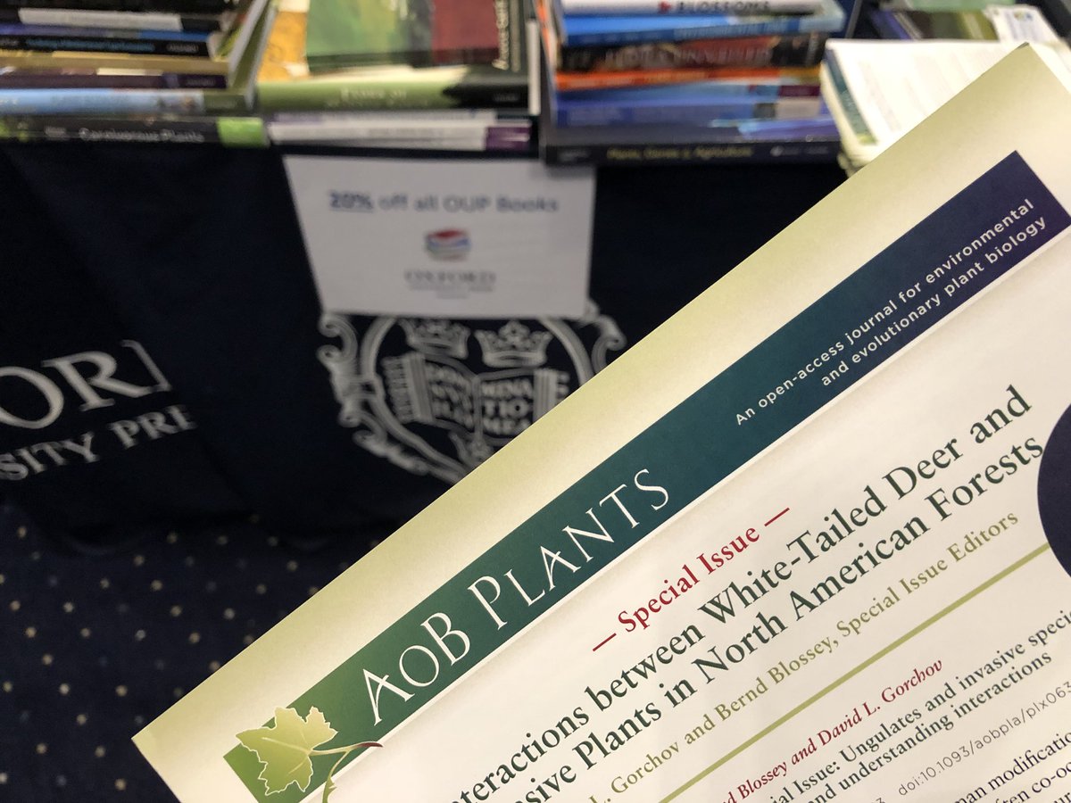 The Caspian Sea Chessboard. Geo