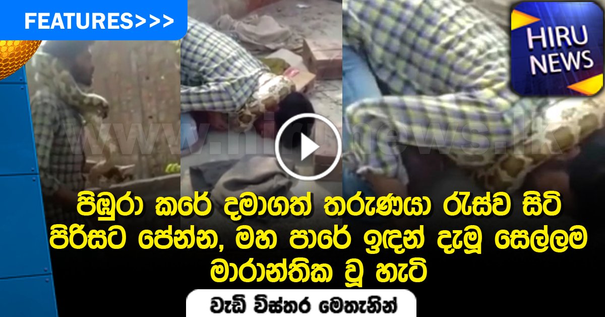 hirunews's tweet image. පිඹුරා කරේ දමාගත් තරුණයා රැස්ව සිටි පිරිසට පේන්න, මහ පාරේ ඉඳන් දැමූ සෙල්ලම මාරාන්තික වූ හැටි 
Watch More&amp;gt;&amp;gt;&amp;gt;
goo.gl/59HDTy

#lk #pythonattack