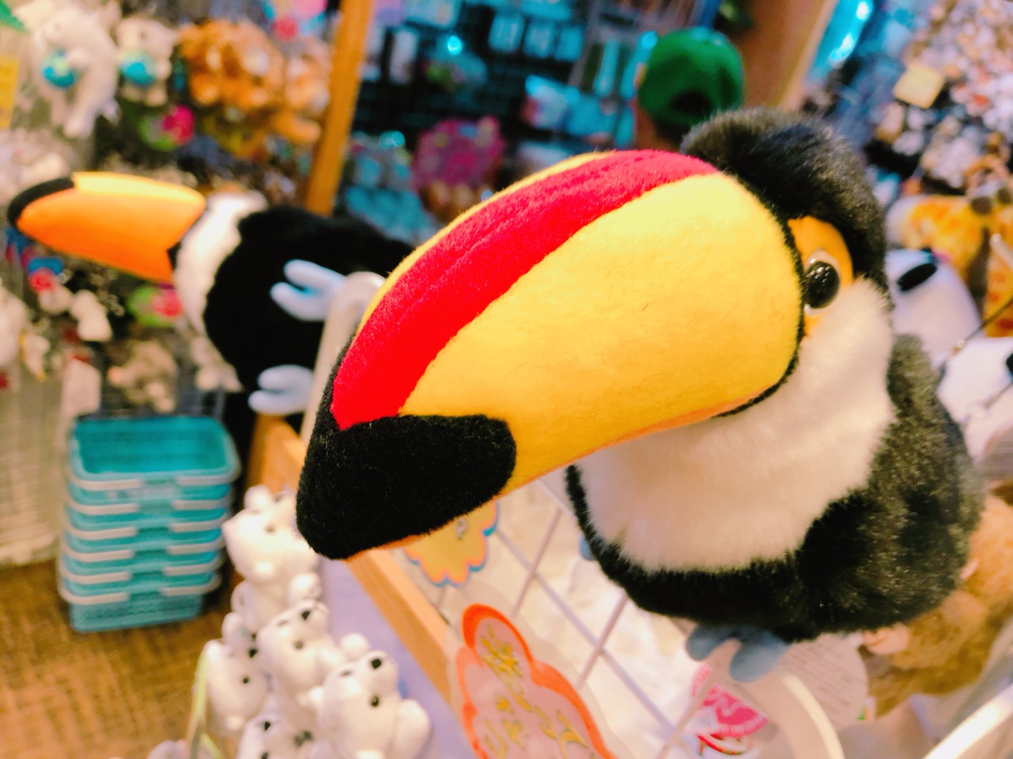 円山動物園オフィシャルショップ こんにちは 再入荷商品のご案内です オオハシのぬいぐるみが再入荷しました こちらの足の部分が水色のオオハシのぬいぐるみは 中に磁石が入っているのでくっつけることができます いろんなところでバランスをとっ 円山動物園オフィシャルショップ こんにちは 再入荷商品のご案内です オオハシのぬいぐるみが再入荷しました こちらの足の部分が水色のオオハシのぬいぐるみは 中に磁石が入っているのでくっつけることができます いろんなところでバランスをとっ