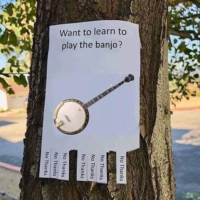 SkilletLickerDesigns.com ~ ✔
No, thanks.
#banjo #banjolife #5string #musichumor #bluegrass #banjojokes