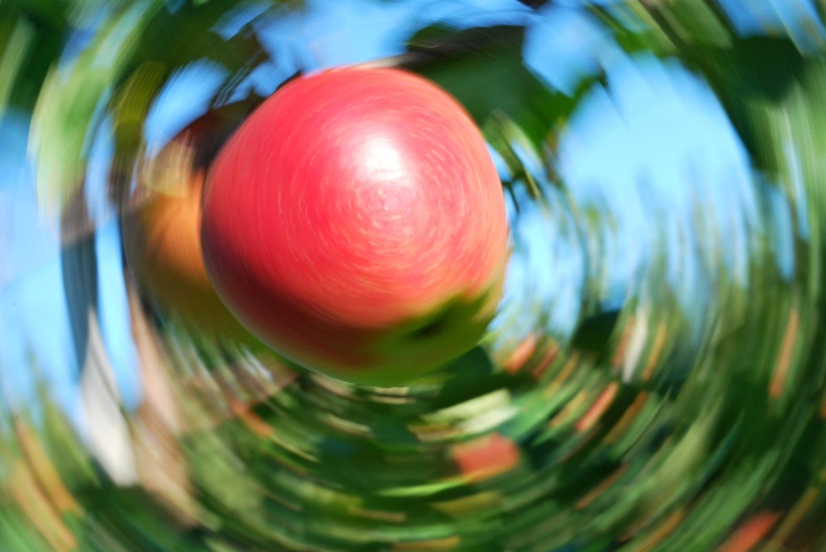 Take a look at the incredible photos that have been entered into the Bioeconomy Photo competition over the past three years commbebiz.eu/?page=2596 #Bioeconomy #research
