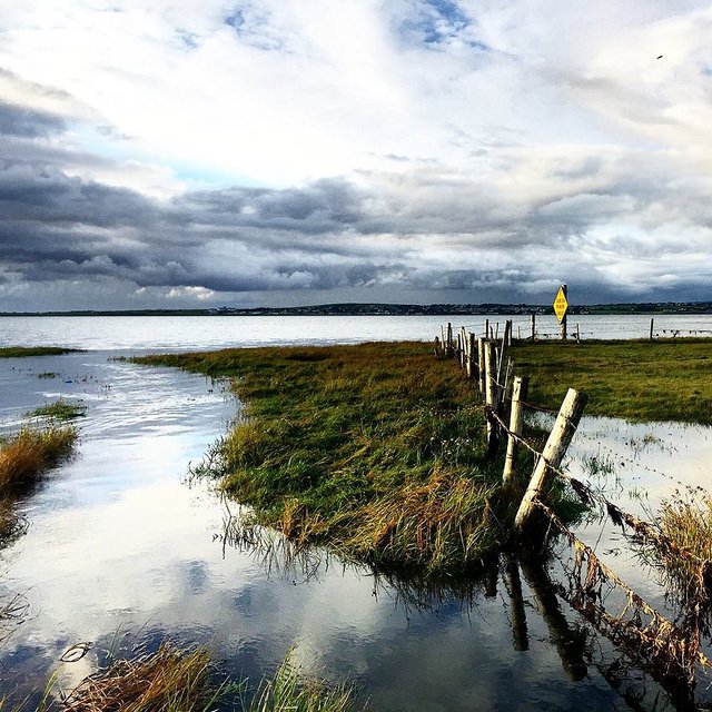 CommBeBiz's tweet image. Take a look at the incredible photos that have been entered into the Bioeconomy Photo competition over the past three years commbebiz.eu/?page=2596 #Bioeconomy #research