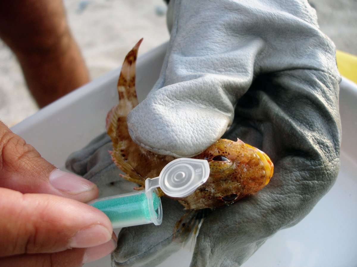 CommBeBiz's tweet image. Take a look at the incredible photos that have been entered into the Bioeconomy Photo competition over the past three years commbebiz.eu/?page=2596 #Bioeconomy #research