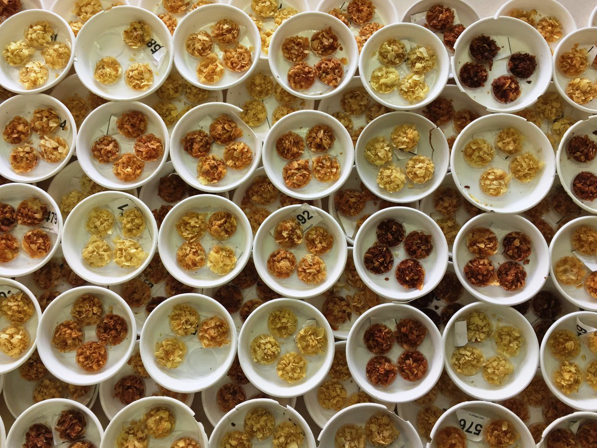 CommBeBiz's tweet image. Take a look at the incredible photos that have been entered into the Bioeconomy Photo competition over the past three years commbebiz.eu/?page=2596 #Bioeconomy #research