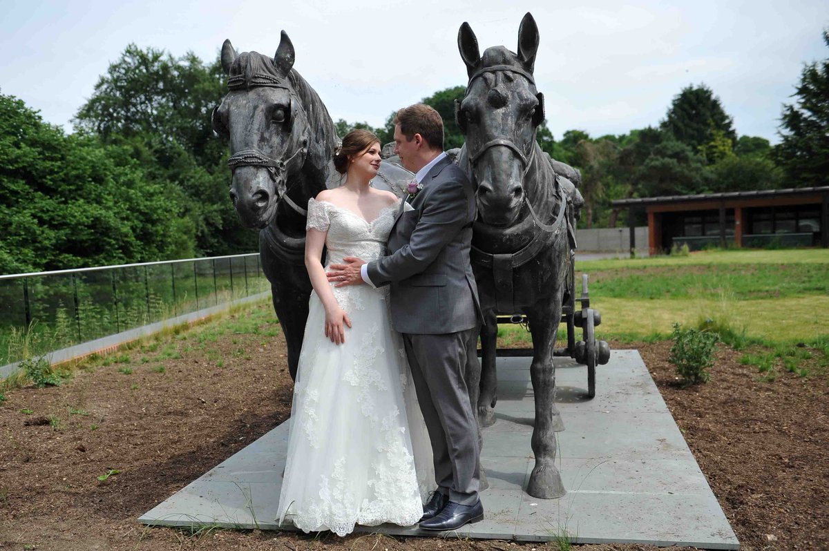 LaneSurrey's tweet photo. Great horse setting at Frensham Pond Hotel https://t.co/iTQwUdPhhg