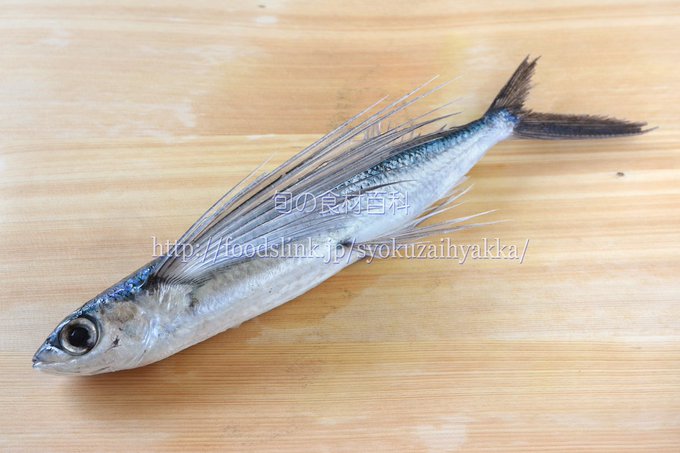 飛魚のtwitterイラスト検索結果 古い順