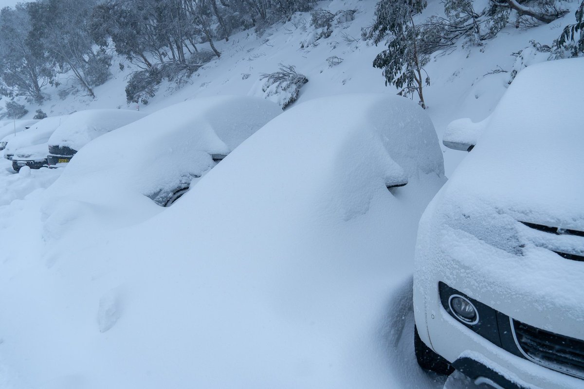 SnowForecast's tweet image. Australian ski resorts are now reporting the best early season conditions for 18 years after a week long snow storm deposited up to 92cm (three feet) of snow so far. @ThredboResort @PerisherResort @fallscreekok @mtbuller @MtBawBaw1 @MtHotham_RMB
