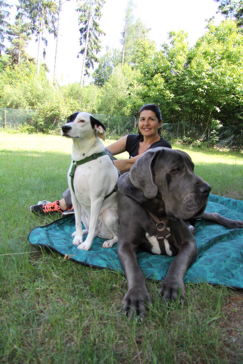 WishgateOnlus's tweet photo. La nostra pet therapy ha occhi ovunque.❤️
#onlus #donazione #noprofit #cuassoalmonte #pettherapy #sociale #aiuto #comunitàilsorriso #ilsorriso #occhiovunque #terapia #volontariato #tuttosottocontrollo #valceresio #disabili #disabilità #speranza #obiettivi #risultati #5x1000 https://t.co/ZaqmH69OND