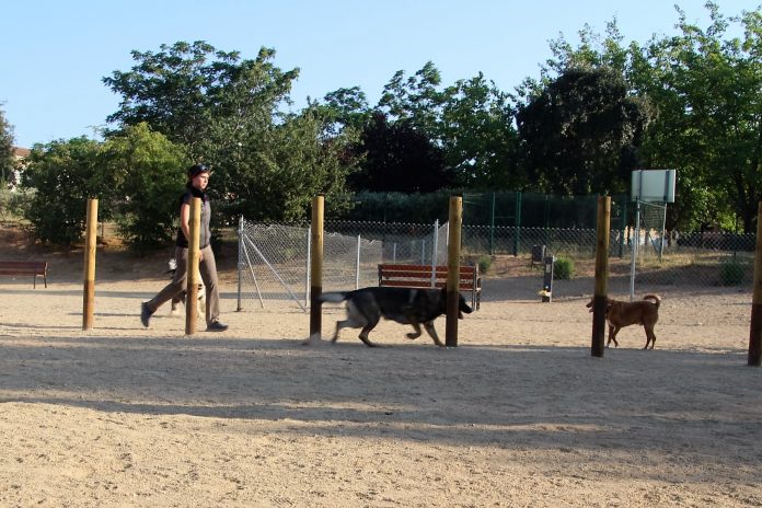 AjuntaMartorell's tweet photo. Martorell regularà la tinença d’animals de companyia i incrementarà les sancions als propietaris per actes incívics 
➡️ https://t.co/RwvZcLId2H https://t.co/GDIzKW6Mxs