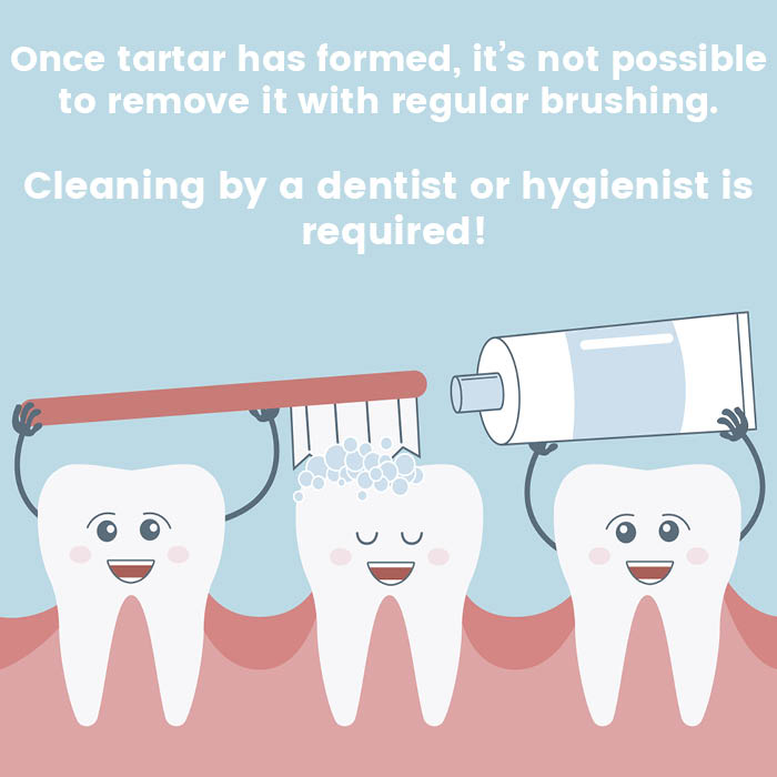 Ensure you brush for the whole two minutes, even if it means setting a timer. And don't forget to floss! #oralhygiene #dentistryfacts #dental #toptips