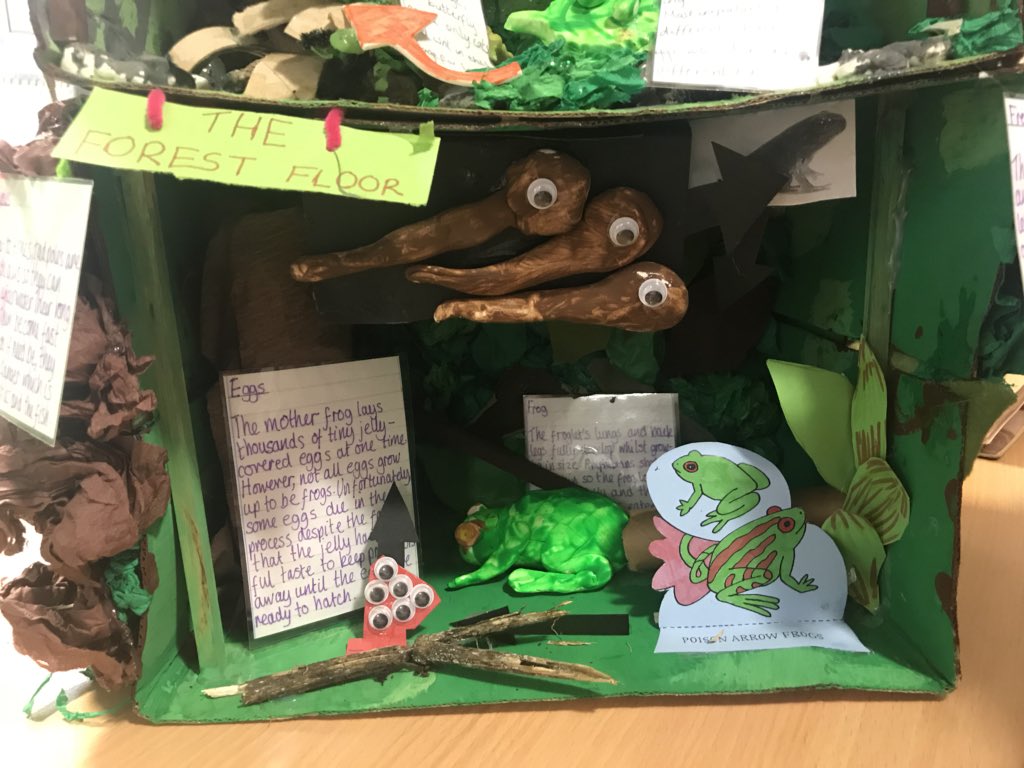BeamCountyPS's tweet photo. What are the different life cycles that you can find in the rainforest?
#rainforestproject https://t.co/aFguqFBbuk