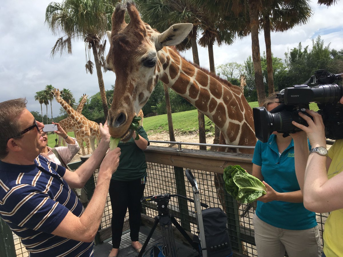 IrelandAMVMTV's tweet photo. Fancy checking out Tampa for yourself ? @VisitTampaBay is your one stop shop for all the info you need! https://t.co/KFiRIQt45c  #tampabay #florida https://t.co/PoIpT4j6Bw
