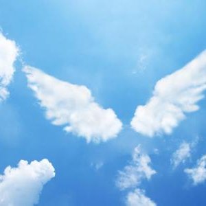 muah_red's tweet photo. #人生 特殊な数字★変わったエンジェルナンバーの意味とは？ https://t.co/MmBbxrFRcn https://t.co/SwCa1UWFCN