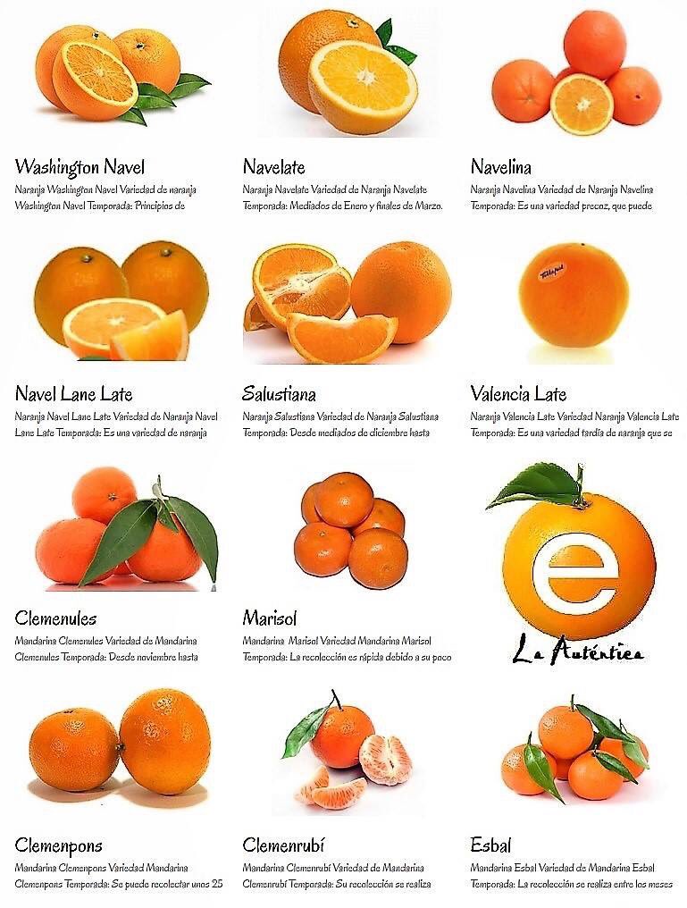 Estempore's tweet photo. Ni Salustiana, ni Navelina ni Guasingtona, compra solo la auténtica. #naranja #vitaminac #diseño #diseñoeditorial #agenciacreativa https://t.co/C3CNGiy2AB