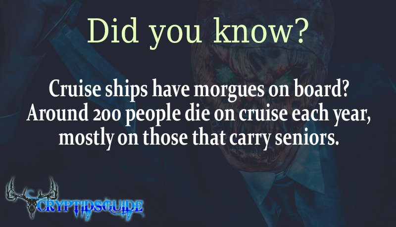 CryptidsGuide's tweet image. #DidYouKnow #TuesdayThoughts #tuesday #CreepyTuesday #creepy #strange #scary #creepypasta
Would you go to a cruise with dead people on board?
cryptidsguide.com