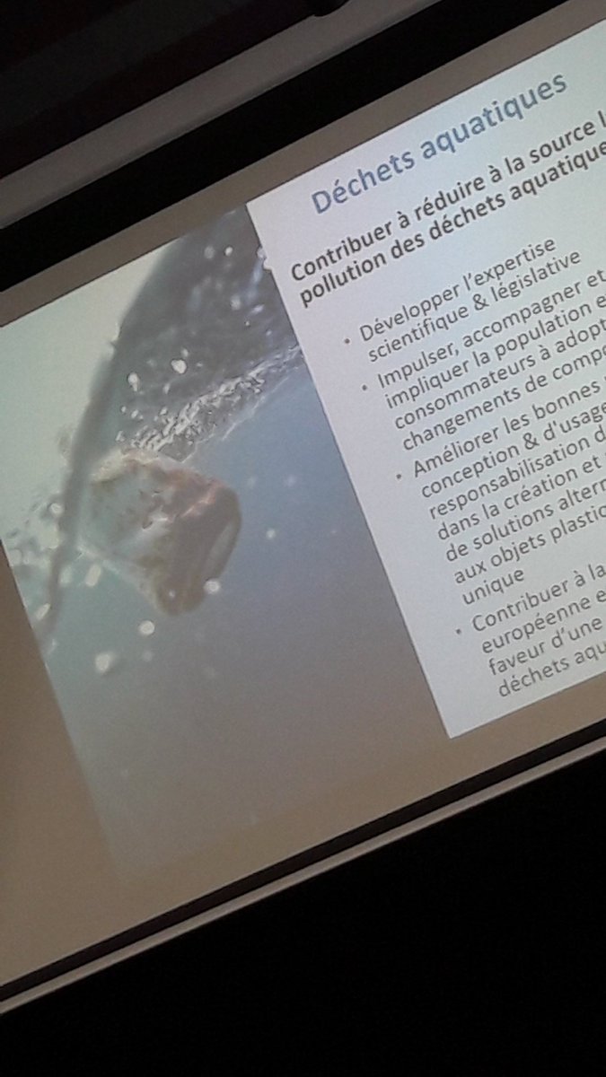 Échanges et travail partagé sur enjeux déchets, océan et changement de comportement entre <a href="/Surfrider/">Surfrider Foundation</a> et #ADEMENvelleAquitaine => enrichissement mutuel et perspectives d'actions 🐳 🏄‍♂️