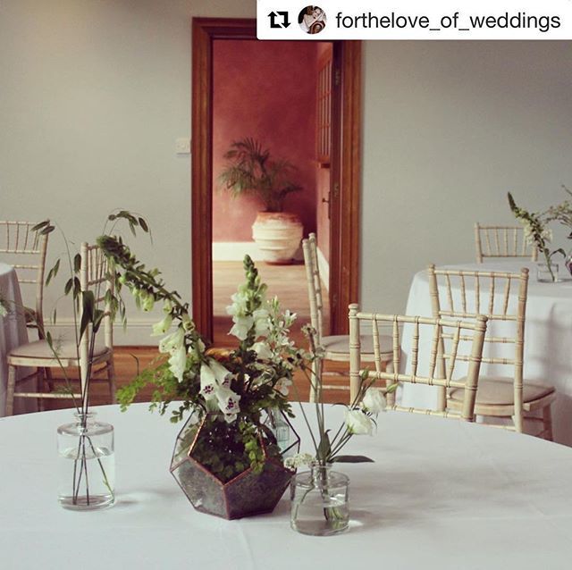 DaisySaysIDo's tweet photo. #Repost @forthelove_of_weddings
・・・
C + M | meadow-inspired terrariums in situ ahead of set-up for Catherine &amp; Matthew’s @mataracentre wedding last month. An absolute dream team of suppliers came together to create this special day: florals @flowersb… https://t.co/dcKgEpcNox https://t.co/vn7lahg5Ao