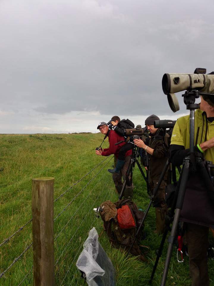 One week left to submit entries for the Martin Garner Spurn Young Birder of the Year 2018! 

It's a fantastic, welcoming weekend to be part of & we want to share it with inspiring #youngbirders! Are you a birder under 16? Why not take part? Please share!
 spurnmigfest.com/news/post.php?…