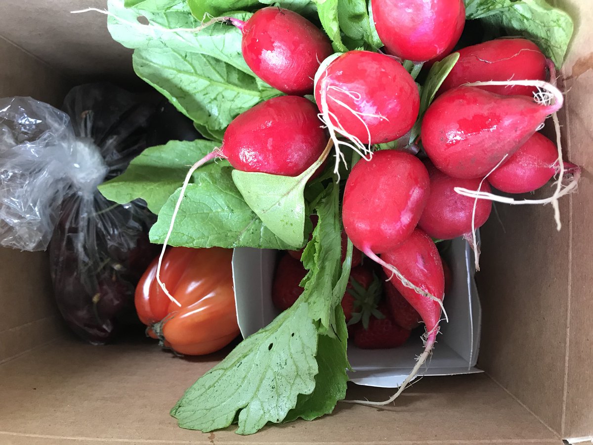 Thursday’s Fresh Box features a bonus <a href="/lemeadowspantry/">Genevieve Blanchet</a> strawberry balsamic jam! Get your orders in by 5pm today for pickup at the market! downtown-fresh-box.squarespace.com