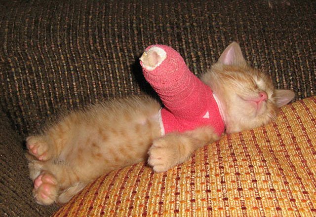 RedenSiemit's tweet image. Feel like a couchpotatoe with the hot temperatures? Then get up and be part of future research! Ask the right questions and #TellUs_online about your accidents and injuries! 10 min a day will keep medical errors away! #myknowledgematters #myexpertisematters