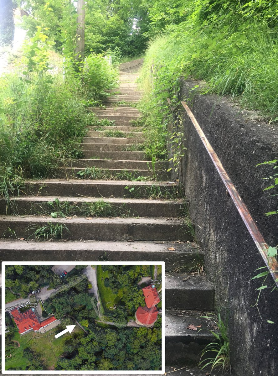 Schwäbische Tugenden vergessen?
Statt ständig neue Staffeln zu planen, sollten wir die Hälte des Geldes für den Erhalt der bestehenden ausgeben. So geht sparen.
facebook.com/tuebingerliste…