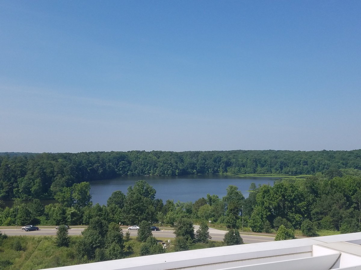 MGMSLIBRARY's tweet photo. View from the terrace of the Hunt Library. @BlissCyndy #ncdlcn @MyrtleGroveMS #Nhcschat https://t.co/u4hp34PnEc