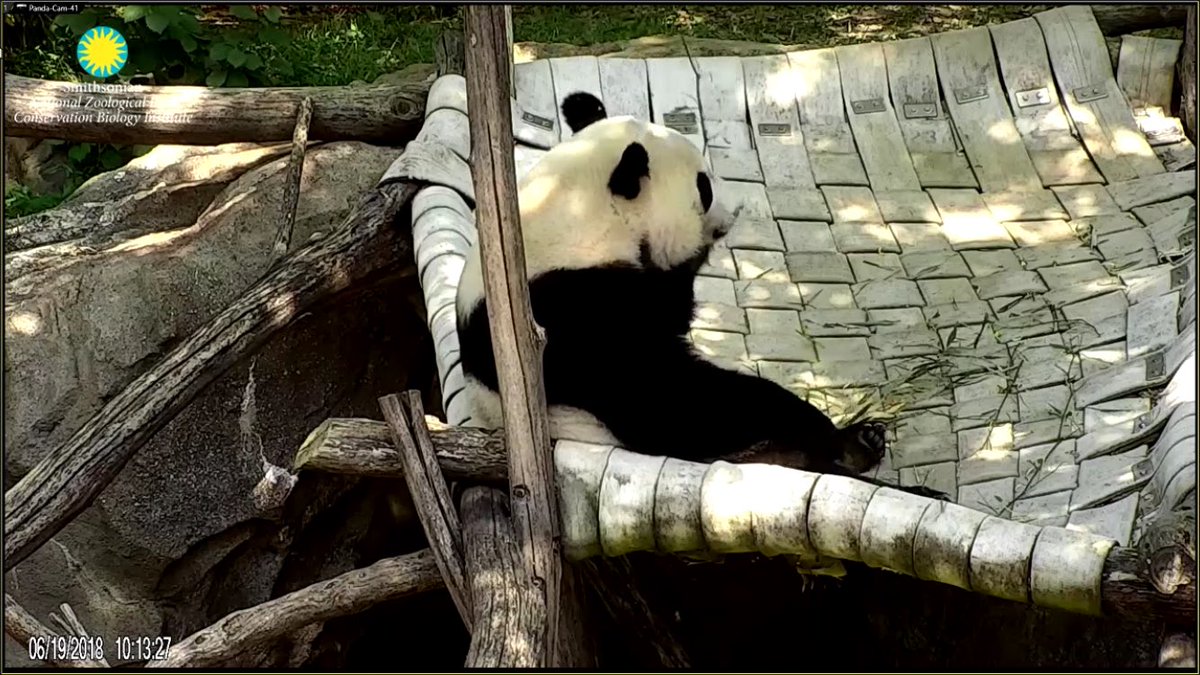 pinkypanda0823's tweet photo. GMLY!! It’s still good to #BeTheBei . Mwah!! https://t.co/wKCKT7yvNg