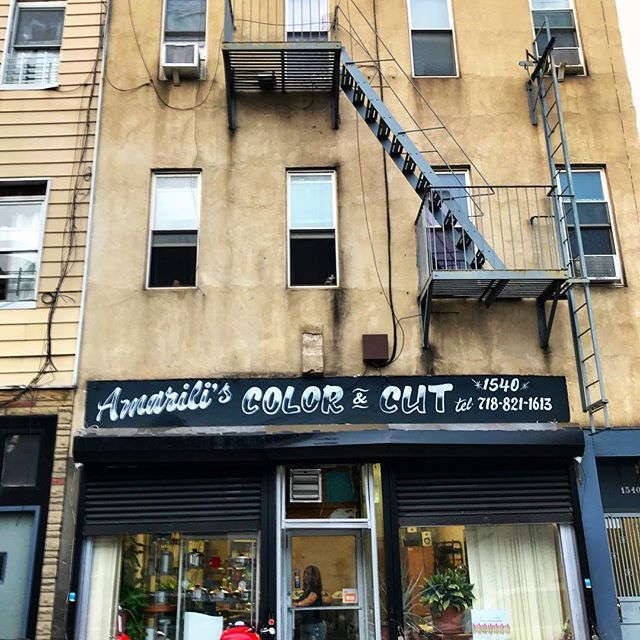 NYC Type tweet media