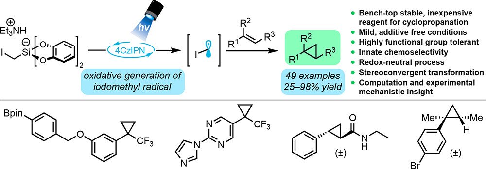 Check out our new @J_A_C_S  article on the photoredox cyclopropanation of olefins! An awesome collaborative effort with the Gutierrez lab at @ChemBiochemUMD both developing and understanding a new silicate-based reagent.  pubs.acs.org/doi/10.1021/ja…