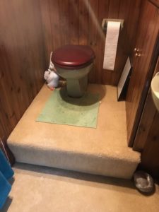 New post (Everyone very happy!) has been published on Splashout - splashout.co.uk/2018/06/19/eve…