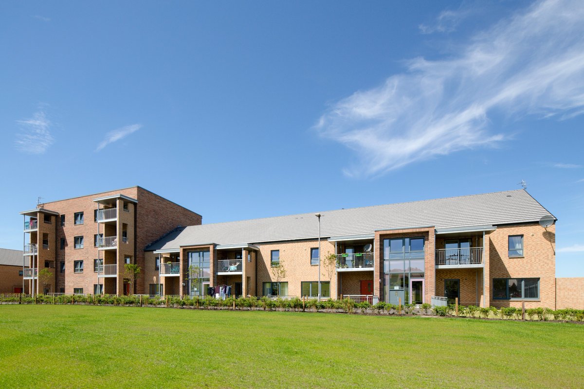 Smith Scott Mullan tweet media