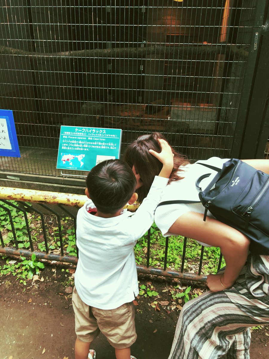 sayakagawa127's tweet photo. 小さい恋人と、夢見ヶ崎動物公園👦🏽🌱❤️
どこどこ〜?ってのぞいて聞くと
両手で私の頭を持って教えてくれるの😂
はあん、愛おしい。
#katespadejoy #katespade25
@katespadejapan https://t.co/GzkiNucOX2