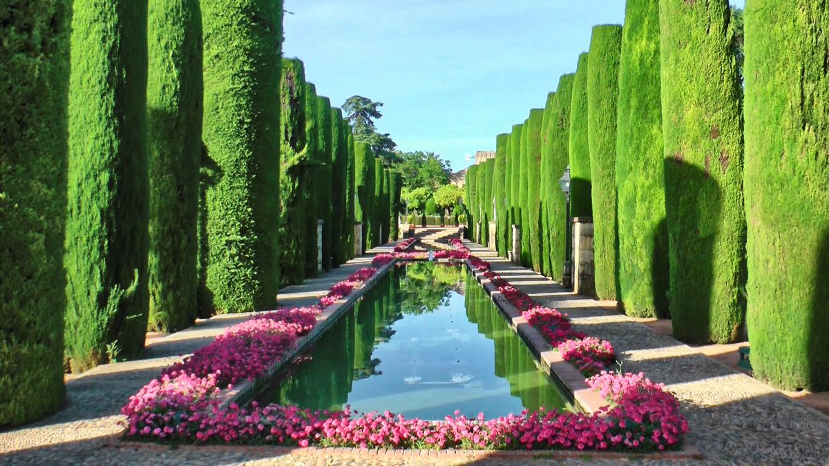 AndalsurTours's tweet photo. Waiting for you to enjoy this beauty together!
#andalucia
https://t.co/unyxq1zTpB https://t.co/rncOt8YtEe
