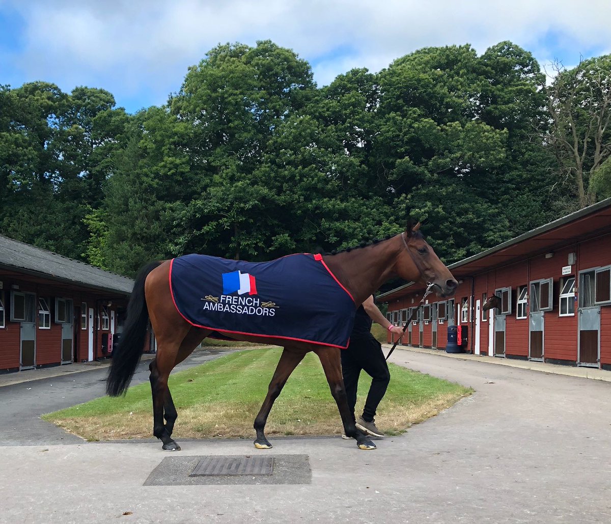 FRBC_Official's tweet photo. #FrAmbassadors Finsbury Square is ready for #RoyalAscot! π«π·ππ©
Best of luck to the connections! π€π
Trained by M Delcher Sanchez at @fgchantilly
Owned & bred by B. Van Dalfsen
#TraininFrance #OwninFrance #BredinFrance @francegalop @Fedeeleveurs #AllezLesBleus https://t.co/zEdcXwy3Yv