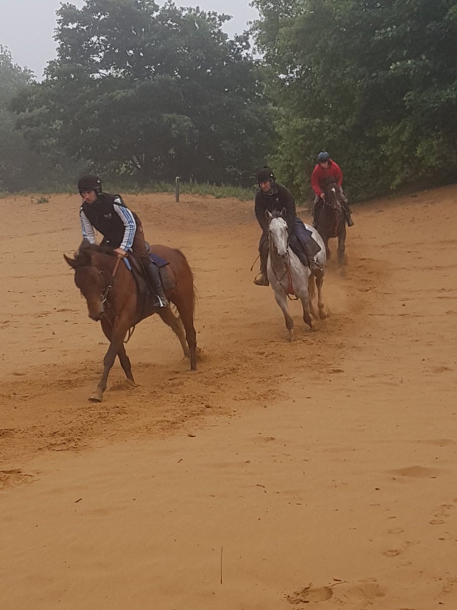 Horses training down on the sand early this morning 
@CWilliamsRacing #Ogmorebysea #HorseRacing #teamWilliams #getinvolved