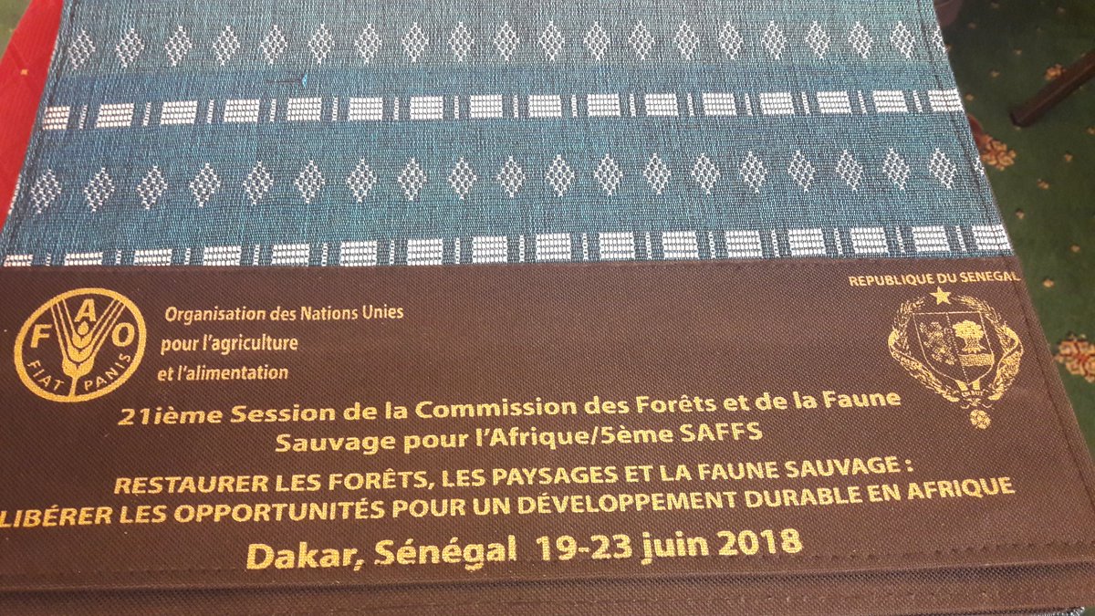 Coumba D. Sow (@coumbadsow) on Twitter photo Ouverture 21e session de la Commission des forêts et de la Faune sauvage pour l'#Afrique par SE Mr Thierno Dieng Ministre @MEDD_Envi et ADG <a href="/FAOForestry/">FAO Forestry</a>. Restaurer les forêts, les paysages et la faune sauvage, libérer les opportunités pour un développement durable en Afrique. Ouverture 21e session de la Commission des forêts et de la Faune sauvage pour l'#Afrique par SE Mr Thierno Dieng Ministre @MEDD_Envi et ADG <a href="/FAOForestry/">FAO Forestry</a>. Restaurer les forêts, les paysages et la faune sauvage, libérer les opportunités pour un développement durable en Afrique.