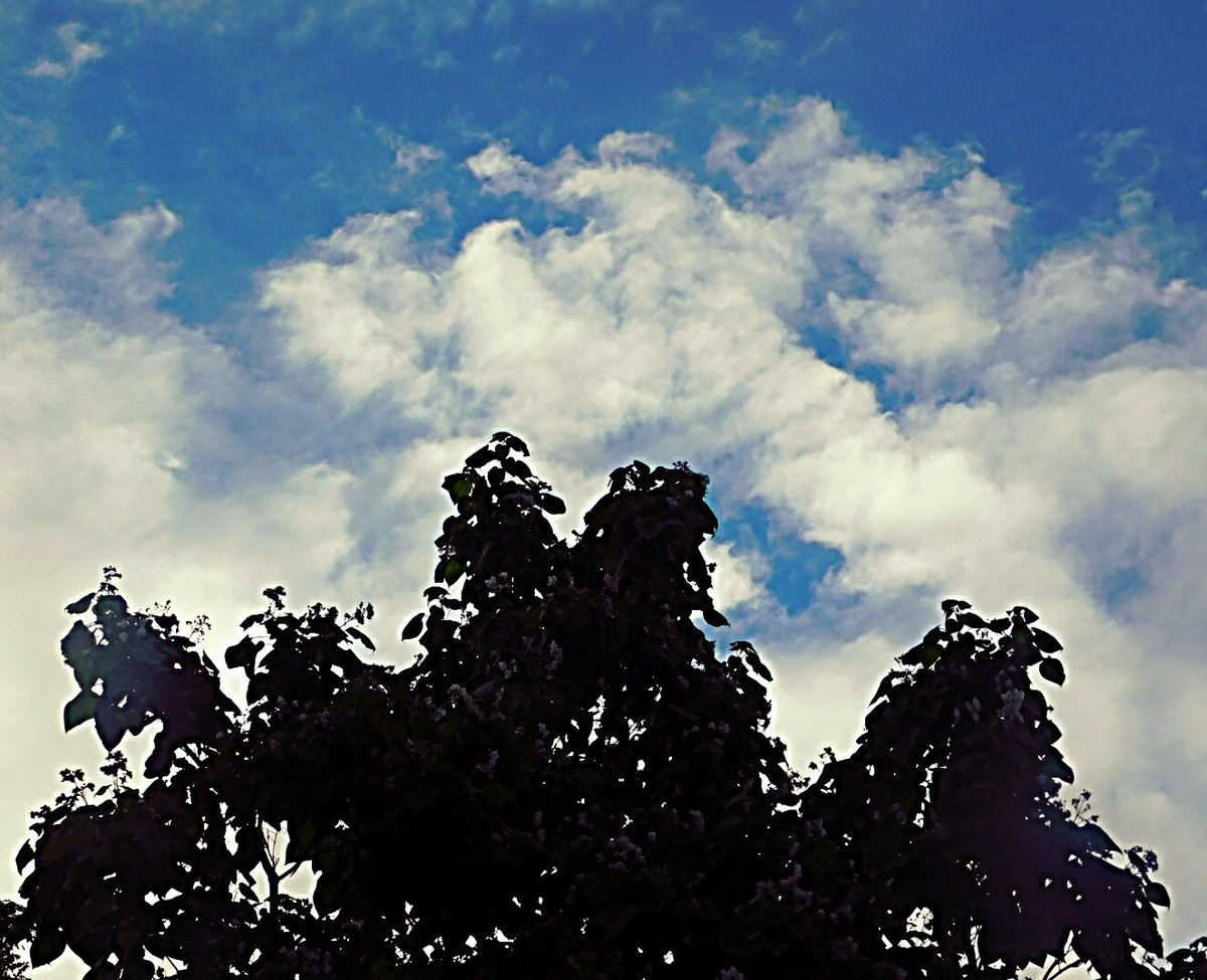 countryboots126's tweet photo. @ajsg @ElieserOFFICIAL @enjoyscooking @LouiseD39269990 @photonpalette @luketaplin42 @winterbay @ThePhotoHour @jasmin_murawski @donder1969 @_JoClarke @JoanneJorja @EmmaPaull3 @EarthandClouds2 @cloudyskys @ACloudReporter @WilliamBug4 @PicPoet @Carla1968 @WizardWeather @EarthandClouds @weatherwyou @BusyStudent1 @lyon1emporia @KINGstormchaser @StormHour @EnjoyNature Rain stopped again humidity dropped thank goodness. I don't have that much Aquanet for my hair. High 80's no humidity. @weatherwyou @WizardWeather @EarthandClouds2 #cloudy #ATXWeather #StormHour #skyart #photogrophy https://t.co/O8D2kiwX9p