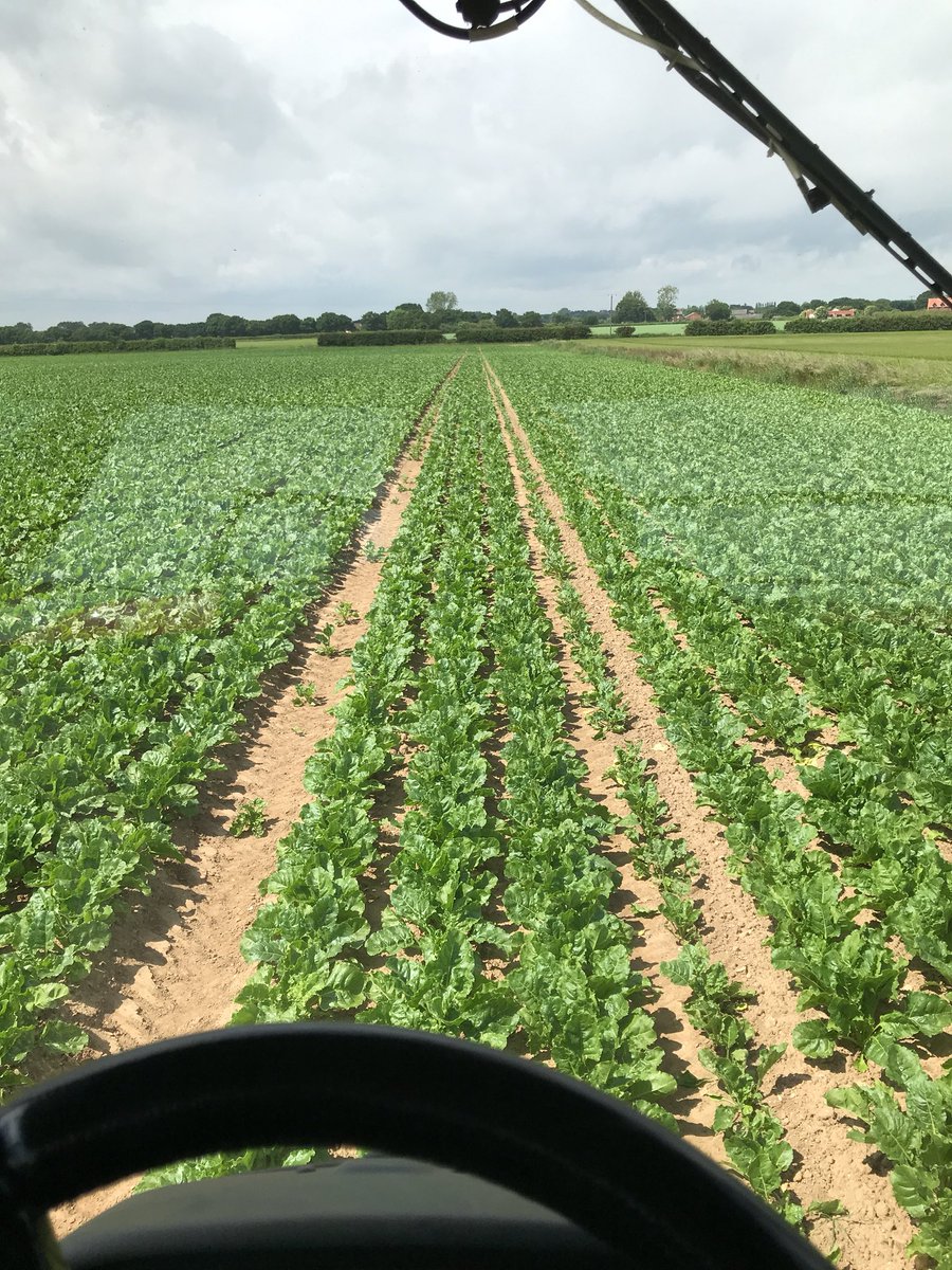 anfarming's tweet photo. After a dodgy start to the morning were back out with the sprayer again! #sugarbeet @BritishSugar https://t.co/0XXUby2OtR