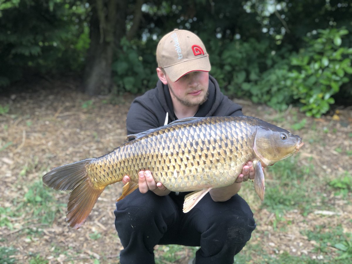 jjangling's tweet photo. Wicked afternoon session over @KPangling syndicate water a lot of fish came out on various different rigs from your standard hair rig to the more complex ronnie/German. Topped with @hydrabaits hades pop ups doing the business again. Back out on the bank the weekend,tight lines.🎣 https://t.co/nwv16K1lfH