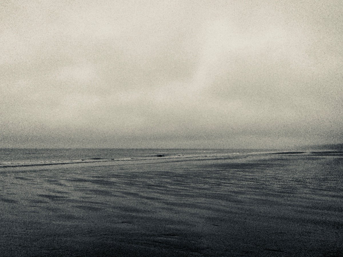 Matt Green tweet media