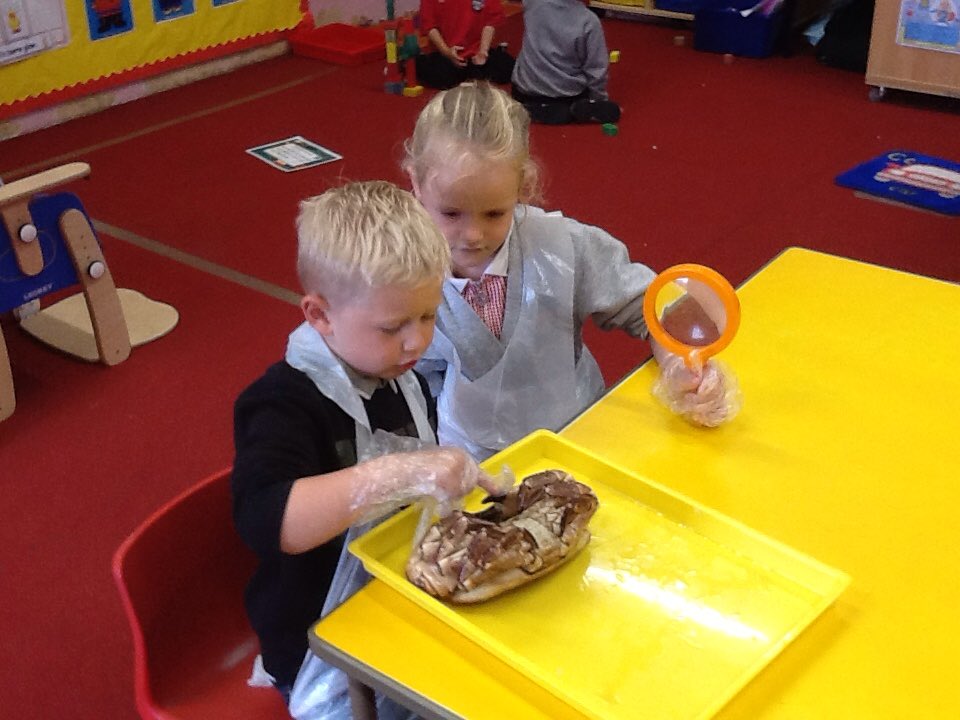 DanygraigP's tweet photo. Reception have been investigating crabs. 🦀🦀
#DYGPSciTec
#DYGPFP https://t.co/SiFpAtwn26