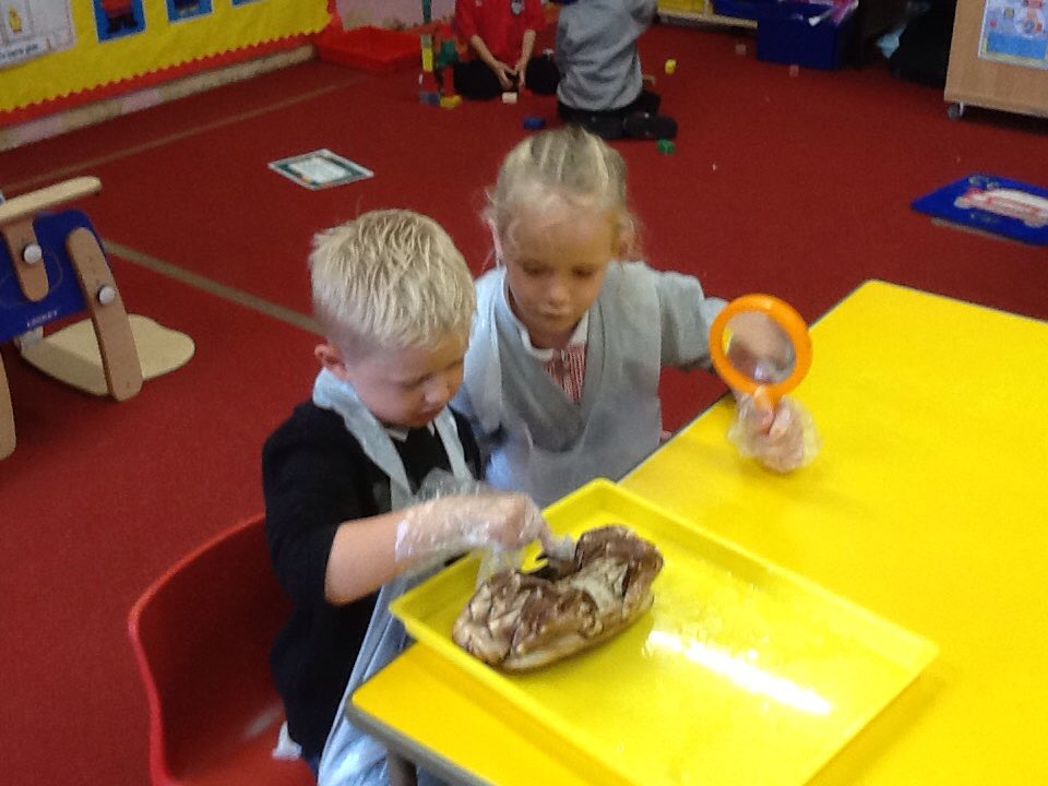 DanygraigP's tweet photo. Reception have been investigating crabs. 🦀🦀
#DYGPSciTec
#DYGPFP https://t.co/SiFpAtwn26