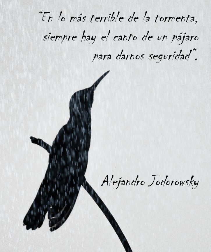 alejodorowsky's tweet photo. En lo más terrible de la tormenta... https://t.co/bxjtet4hK9