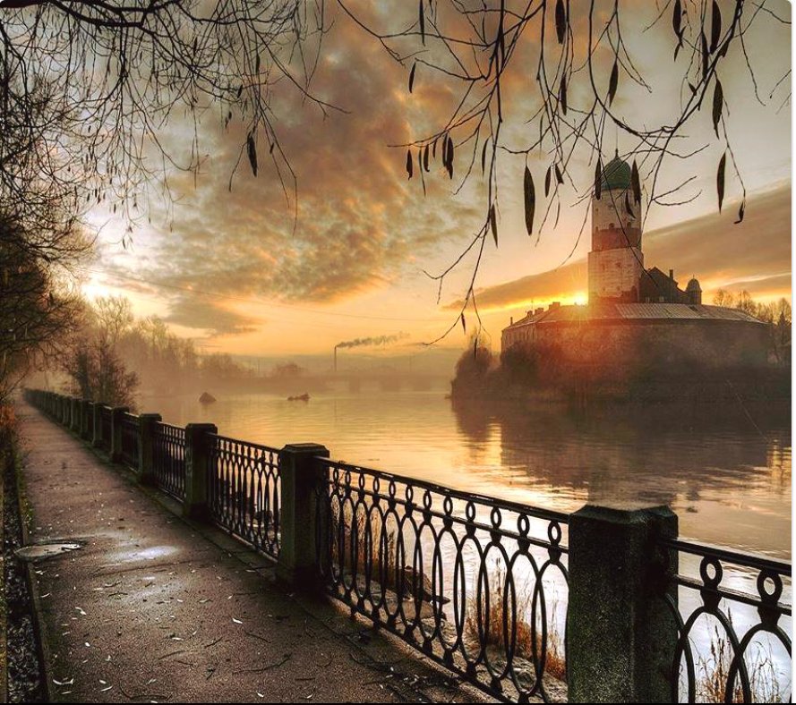 kathyan72's tweet photo. @sherif_58 @VeaMiAlma @maype7 @Lorebl034 @vikasknirmal @r95731 @Tata831214 @lana_liss @dorota44559549 @MenAlyemen_ye @Sirbaz4 @andyspeirs1 @komaritski @LO2BSH @AracelisTorre19 @1GreatMaster @Mohamed59806207 @n6260 @QogBazar @dwauthyboehme @Wero_Nikka @Jo21348 @Mardani_3 @cc_chicco @GoetzSg @sahouraty1 @joyfulng @kassiarra @gazb159 @EliLeonarda @Texa00 @deyayp @vt82677 @Alde0701 @OJnaitis @asdfghjkl5l @ShirleyGearman @AndreiAndrei63 @dct_ihjc @SvetlioSavov6 @MohdAdi49086723 @esrayshe @ShepherdMao @BeekRita @spindenu @MERCHE500 Thank you very much 🏵️🌸🌹 for the wishes 💛💛💛 https://t.co/dl7llbHIJU