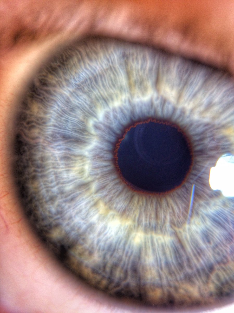 PAGECreators tweet media