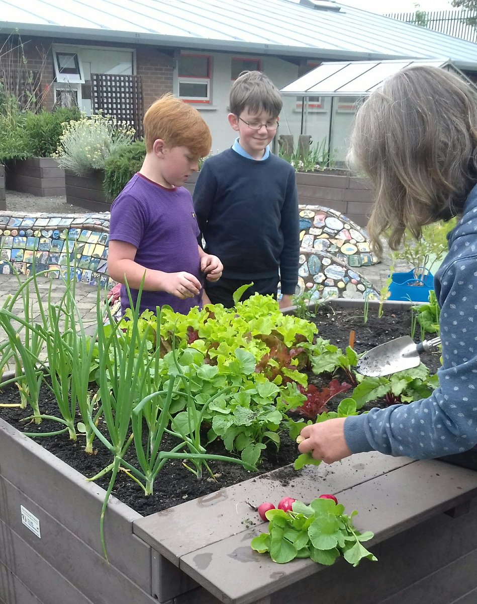 StSenansPS tweet media