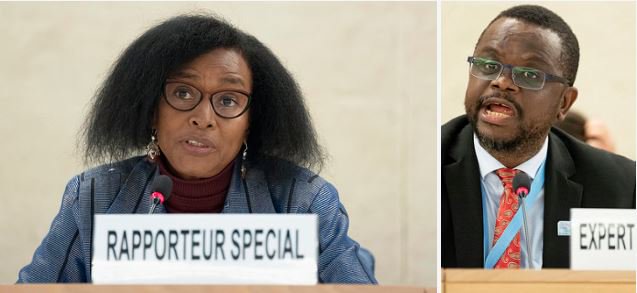 UN Human Rights Council tweet media