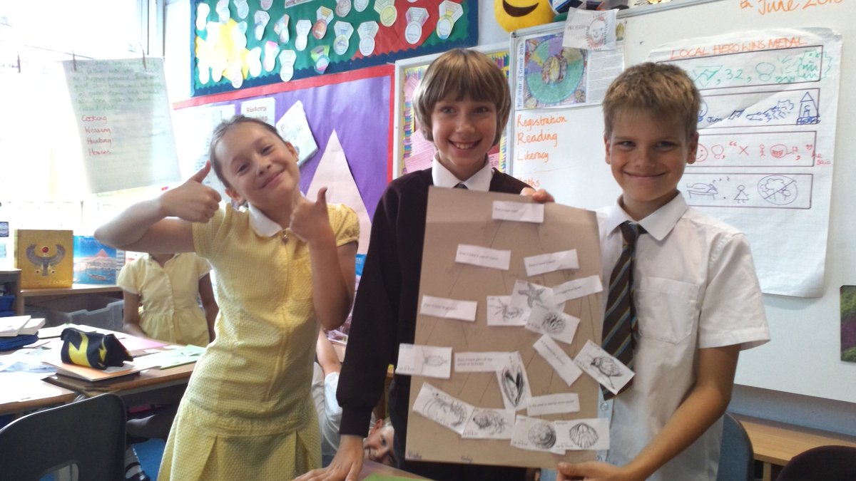 OLS Year 4 tweet media